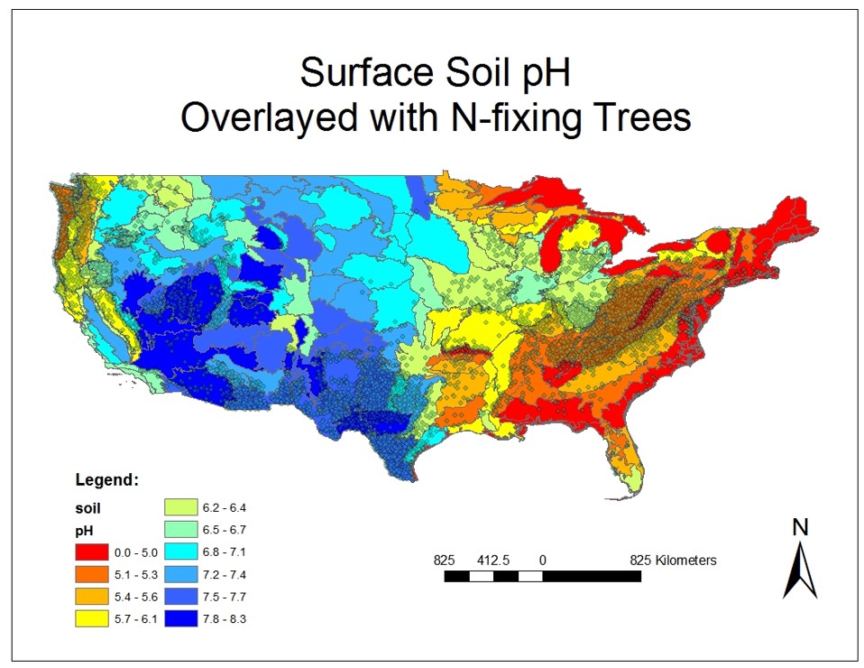 nitrogen fixers and soil pH